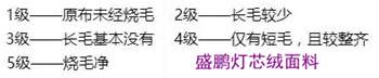 燒毛質量評定