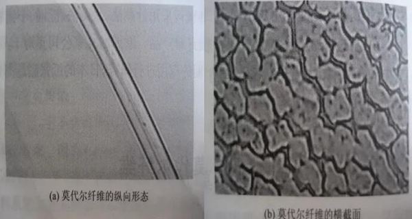 莫代爾纖維的結構