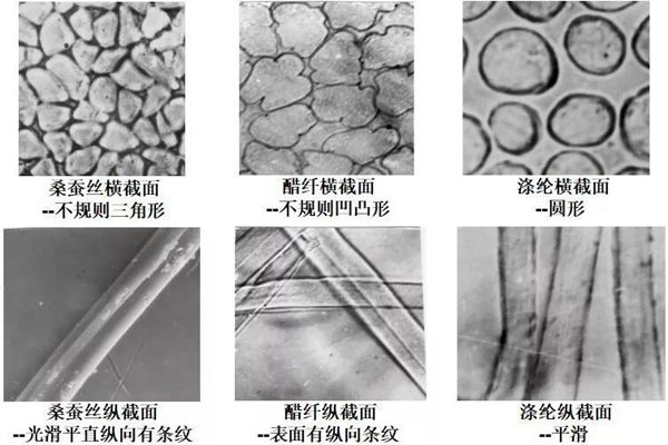 醋酸纖維與蠶絲、滌綸絲的結構對比