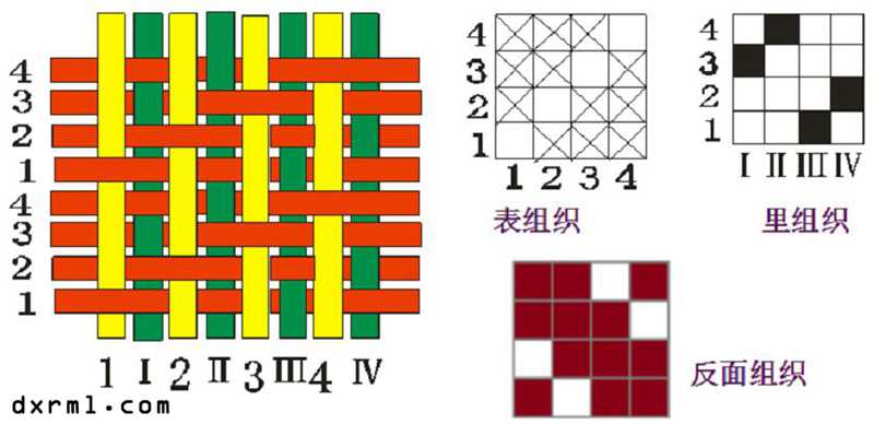 經二重組織