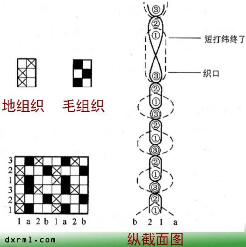 毛巾組織形成毛圈的過程