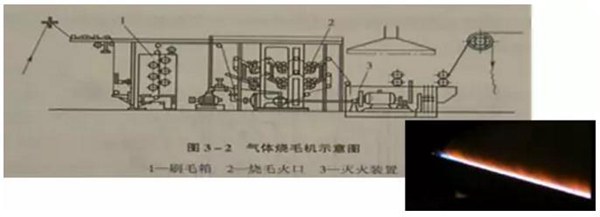 50%体育首存红利~
燒毛